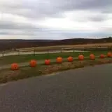 Harris Hill Farm Pumpkin Patch & Hayride photo