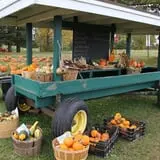 Harris Hill Farm Pumpkin Patch & Hayride photo