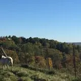 Harris Hill Farm Pumpkin Patch & Hayride photo