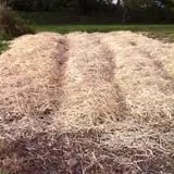 Harris Hill Farm Pumpkin Patch & Hayride photo