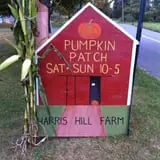 Harris Hill Farm Pumpkin Patch & Hayride photo