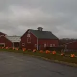 Harris Hill Farm Pumpkin Patch & Hayride photo