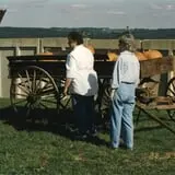 Harris Hill Farm Pumpkin Patch & Hayride photo