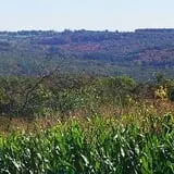 Harris Hill Farm Pumpkin Patch & Hayride photo
