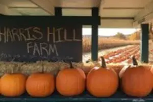 Harris Hill Farm Pumpkin Patch & Hayride