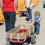 Chesebrough Farm photo