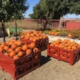 Chesebrough Farm photo