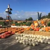 Chesebrough Farm photo