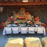 Chesebrough Farm photo
