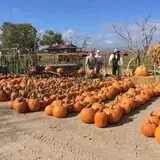 Chesebrough Farm photo
