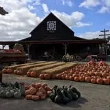 Chesebrough Farm photo