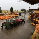 Chesebrough Farm photo