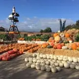Chesebrough Farm photo