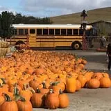 Chesebrough Farm photo