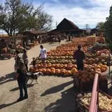 Chesebrough Farm photo
