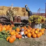 Chesebrough Farm photo