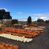 Chesebrough Farm photo