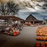 Chesebrough Farm photo