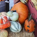 Chesebrough Farm photo