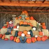Chesebrough Farm photo