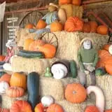 Chesebrough Farm photo