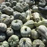 Chesebrough Farm photo