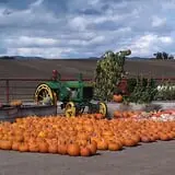 Chesebrough Farm photo