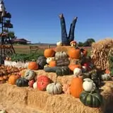 Chesebrough Farm photo