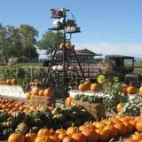 Chesebrough Farm photo