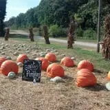 Whiteman Air Force Base Pixie Pumpkin Patch photo