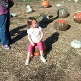 Whiteman Air Force Base Pixie Pumpkin Patch photo