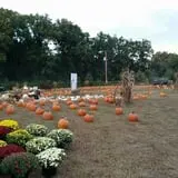 Whiteman Air Force Base Pixie Pumpkin Patch photo