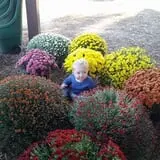 Whiteman Air Force Base Pixie Pumpkin Patch photo