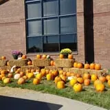 Whiteman Air Force Base Pixie Pumpkin Patch photo