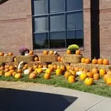 Whiteman Air Force Base Pixie Pumpkin Patch photo