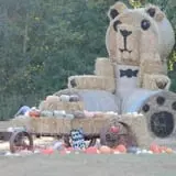 Whiteman Air Force Base Pixie Pumpkin Patch photo