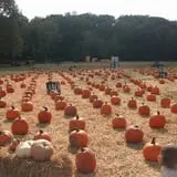 Whiteman Air Force Base Pixie Pumpkin Patch photo