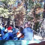 Whiteman Air Force Base Pixie Pumpkin Patch photo
