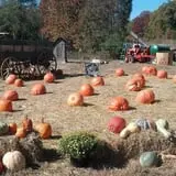 Whiteman Air Force Base Pixie Pumpkin Patch photo