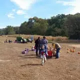 Whiteman Air Force Base Pixie Pumpkin Patch photo