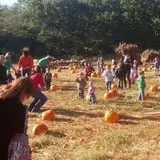 Whiteman Air Force Base Pixie Pumpkin Patch photo