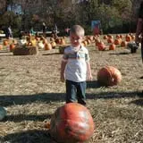 Whiteman Air Force Base Pixie Pumpkin Patch photo