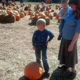 Whiteman Air Force Base Pixie Pumpkin Patch photo