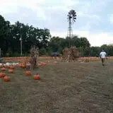 Whiteman Air Force Base Pixie Pumpkin Patch photo