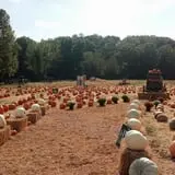 Whiteman Air Force Base Pixie Pumpkin Patch photo