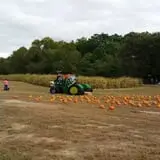 Whiteman Air Force Base Pixie Pumpkin Patch photo