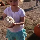 Whiteman Air Force Base Pixie Pumpkin Patch photo