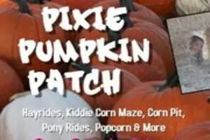 Whiteman Air Force Base Pixie Pumpkin Patch