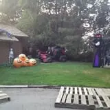 Jeremy's Pumpkins photo