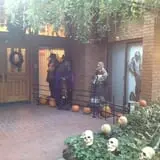 Jeremy's Pumpkins photo